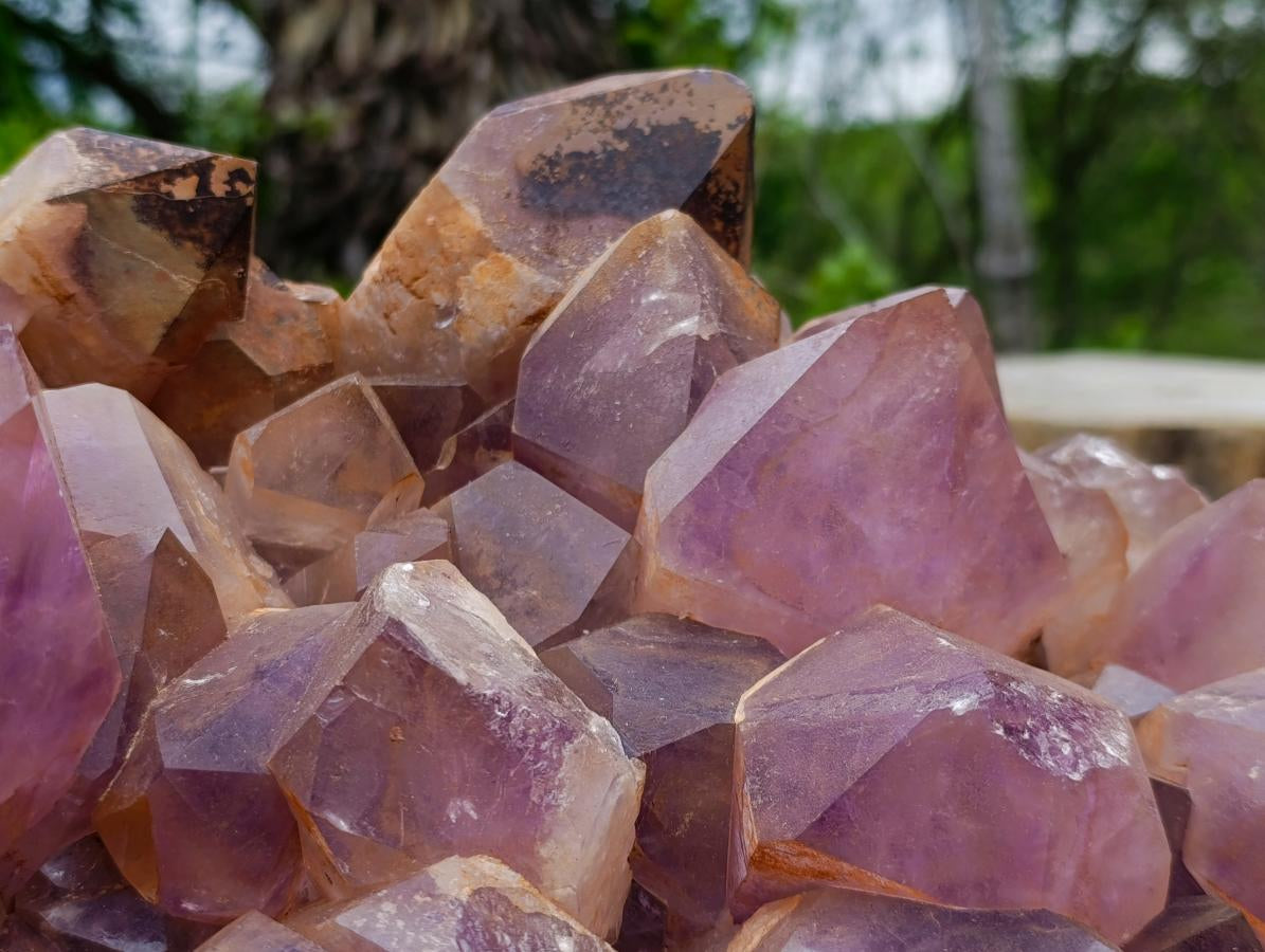 Natural XXL Jacaranda Amethyst  Cluster x 1 From Mumbwa, Zambia - Toprock Gemstones and Minerals 