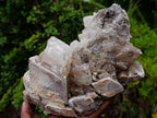 Natural Large Stacked Rhombohedral Calcite Cluster with Phosphorus Aragonite x 1 From Albert's Mountain, Lesotho - Toprock Gemstones and Minerals 