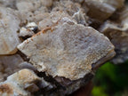 Natural Large Stacked Rhombohedral Calcite Cluster with Phosphorus Aragonite x 1 From Albert's Mountain, Lesotho - Toprock Gemstones and Minerals 