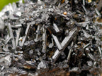 Natural Schorl Black Tourmaline Specimens with Associated Minerals x 3 From Erongo, Namibia - Toprock Gemstones and Minerals 