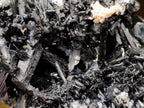 Natural Schorl Black Tourmaline Specimens with Associated Minerals x 3 From Erongo, Namibia - Toprock Gemstones and Minerals 