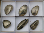 Polished Basalt Pharaoh Stone Free Forms x 6 From Iron Duke Mine, Zimbabwe - Toprock Gemstones and Minerals 