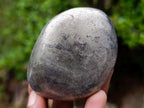 Polished Basalt Pharaoh Stone Free Forms x 6 From Iron Duke Mine, Zimbabwe - Toprock Gemstones and Minerals 