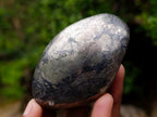 Polished Basalt Pharaoh Stone Free Forms x 6 From Iron Duke Mine, Zimbabwe - Toprock Gemstones and Minerals 