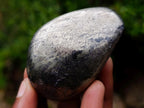 Polished Basalt Pharaoh Stone Free Forms x 6 From Iron Duke Mine, Zimbabwe - Toprock Gemstones and Minerals 