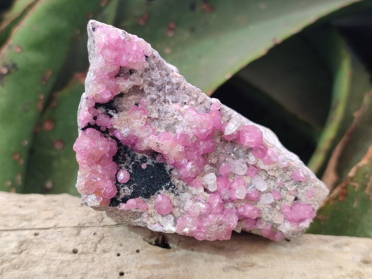 Natural Spherocobaltite Specimens x 6 From Mashamba West Mine, Congo