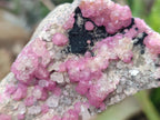 Natural Spherocobaltite Specimens x 6 From Mashamba West Mine, Congo