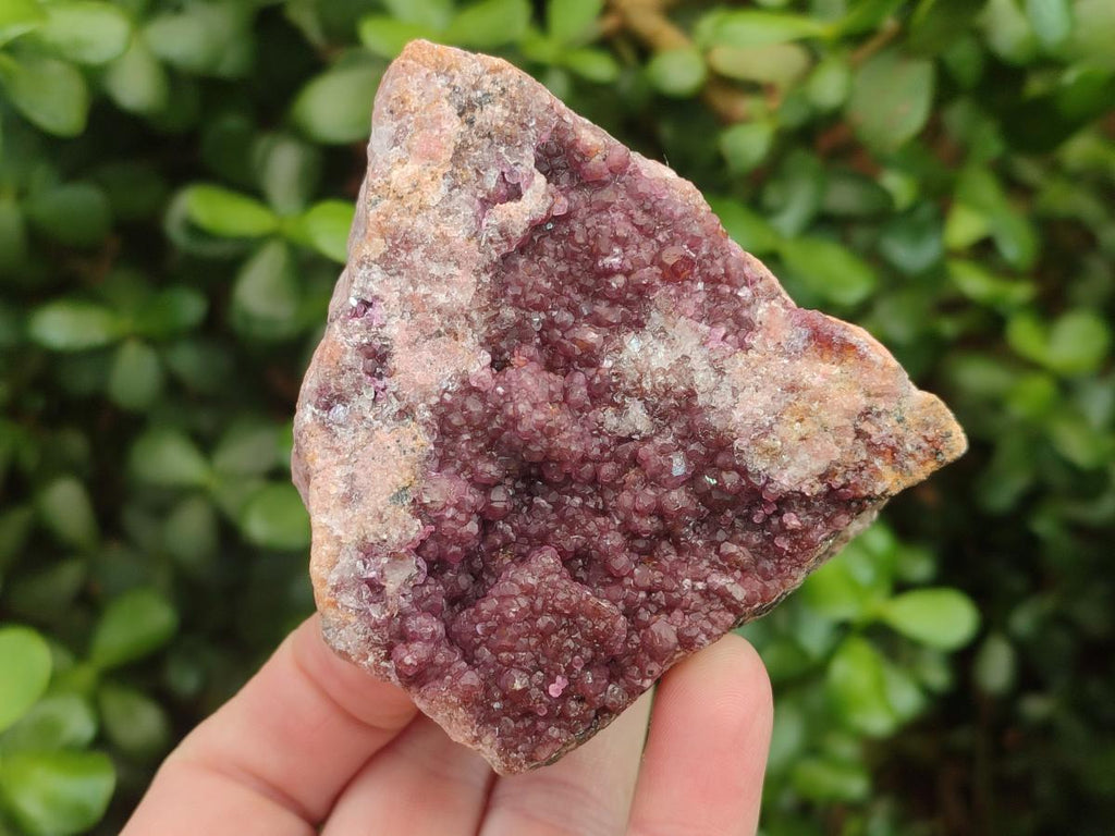 Natural Spherocobaltite Specimens x 6 From Mashamba West Mine, Congo