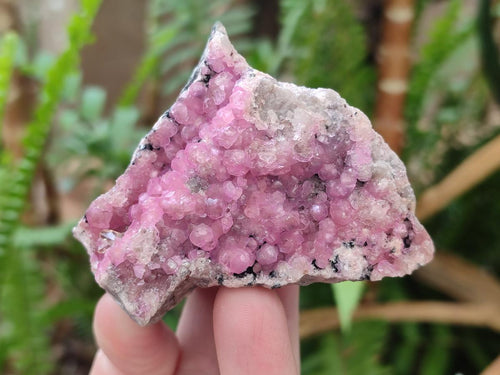 Natural Spherocobaltite Specimens x 6 From Mashamba West Mine, Congo