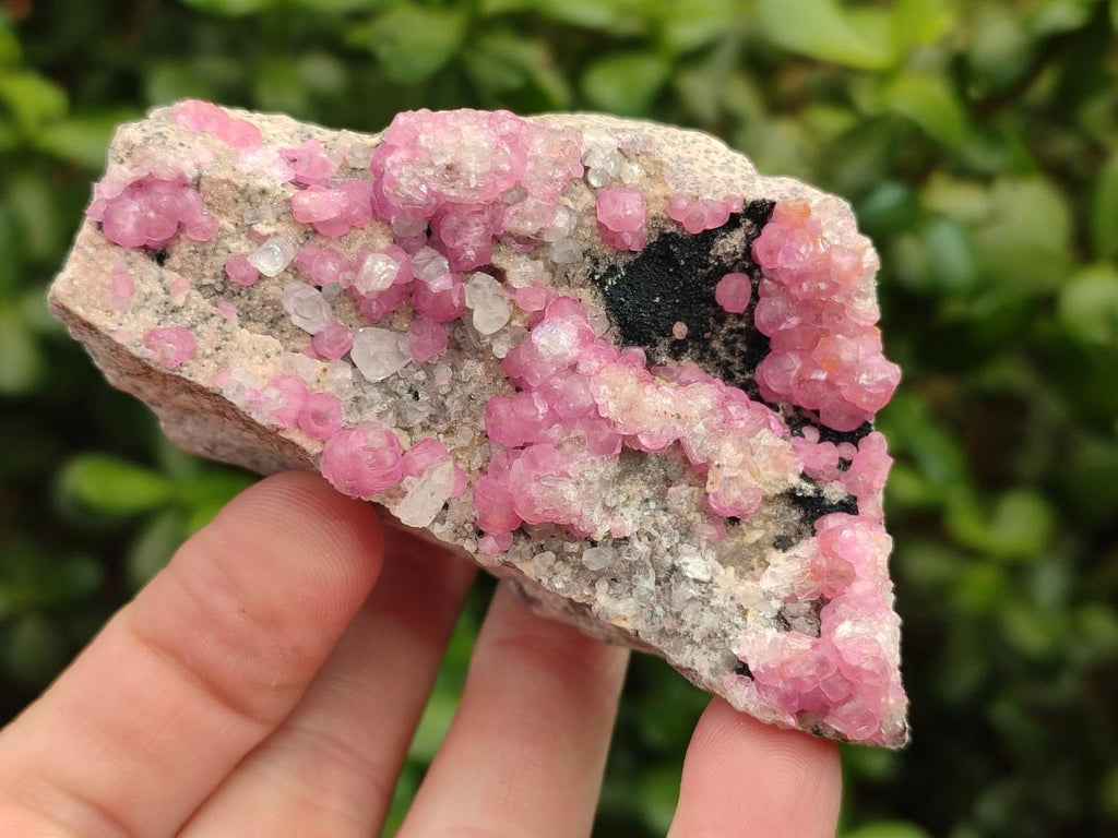 Natural Spherocobaltite Specimens x 6 From Mashamba West Mine, Congo