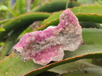 Natural Spherocobaltite Specimens x 6 From Mashamba West Mine, Congo