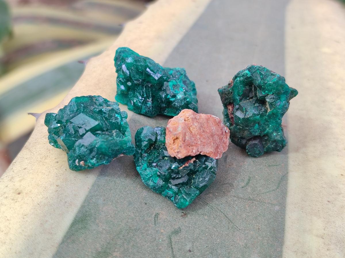 Natural Mini Dioptase Crystal and Cluster Specimens on Dolomite Matrix x 35 From Tantara Mine, Congo