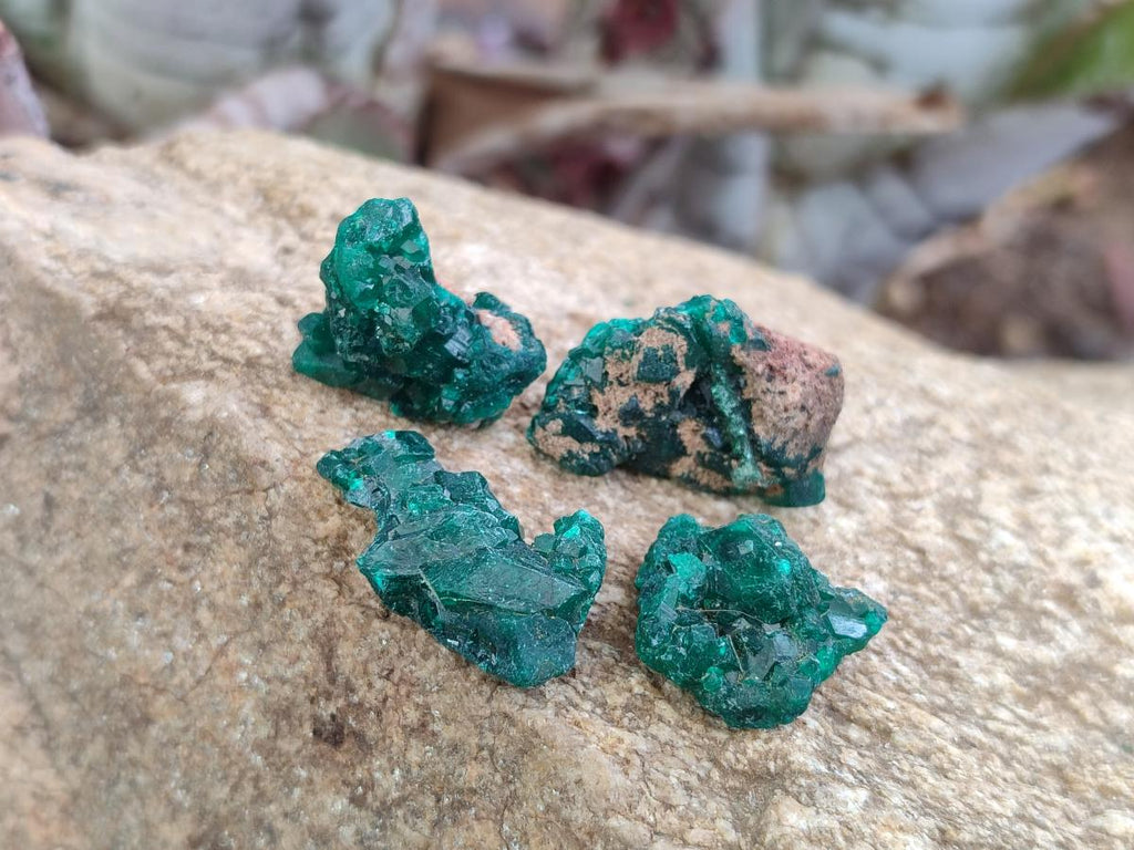 Natural Mini Dioptase Crystal and Cluster Specimens on Dolomite Matrix x 35 From Tantara Mine, Congo