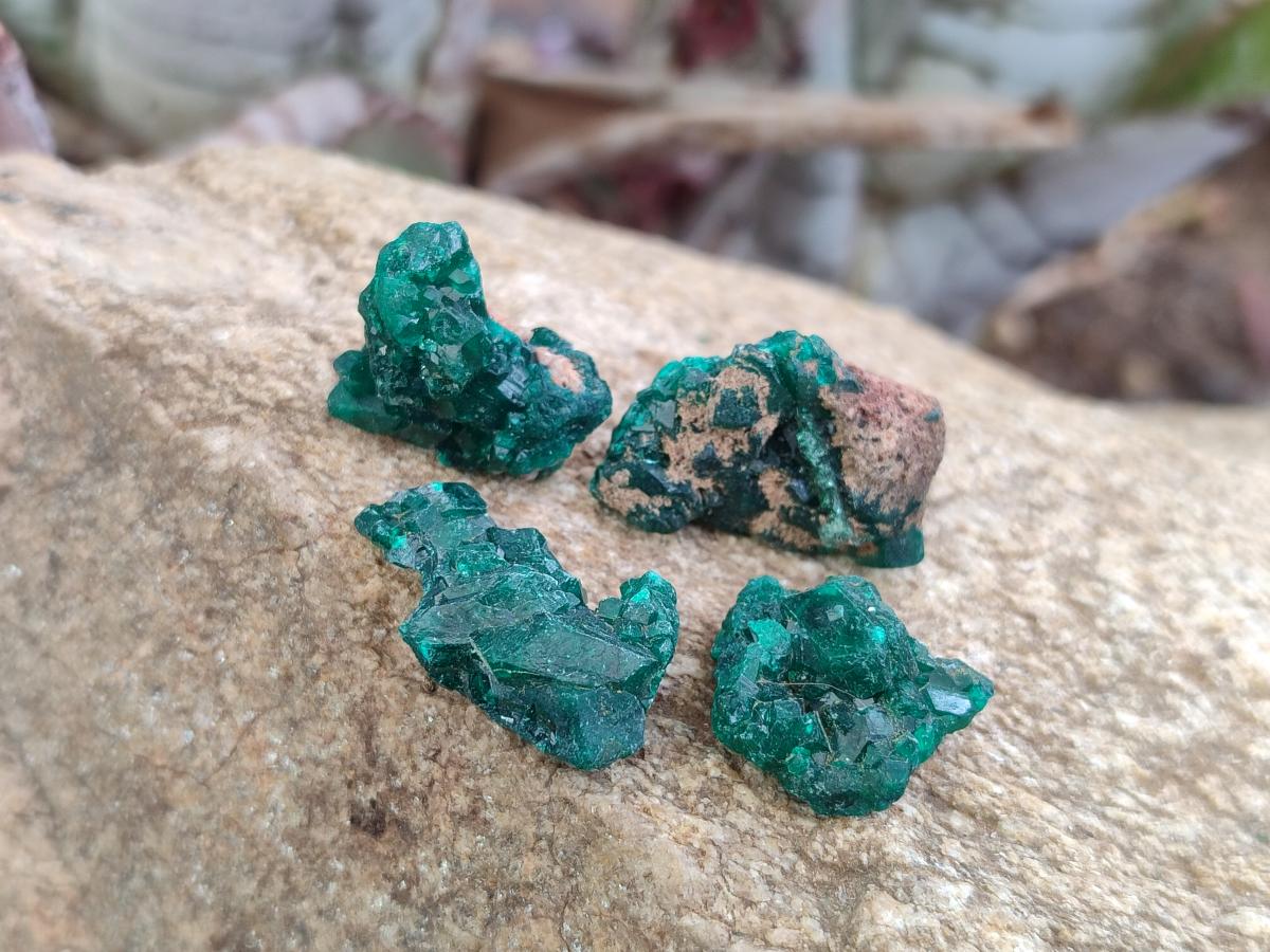 Natural Mini Dioptase Crystal and Cluster Specimens on Dolomite Matrix x 35 From Tantara Mine, Congo