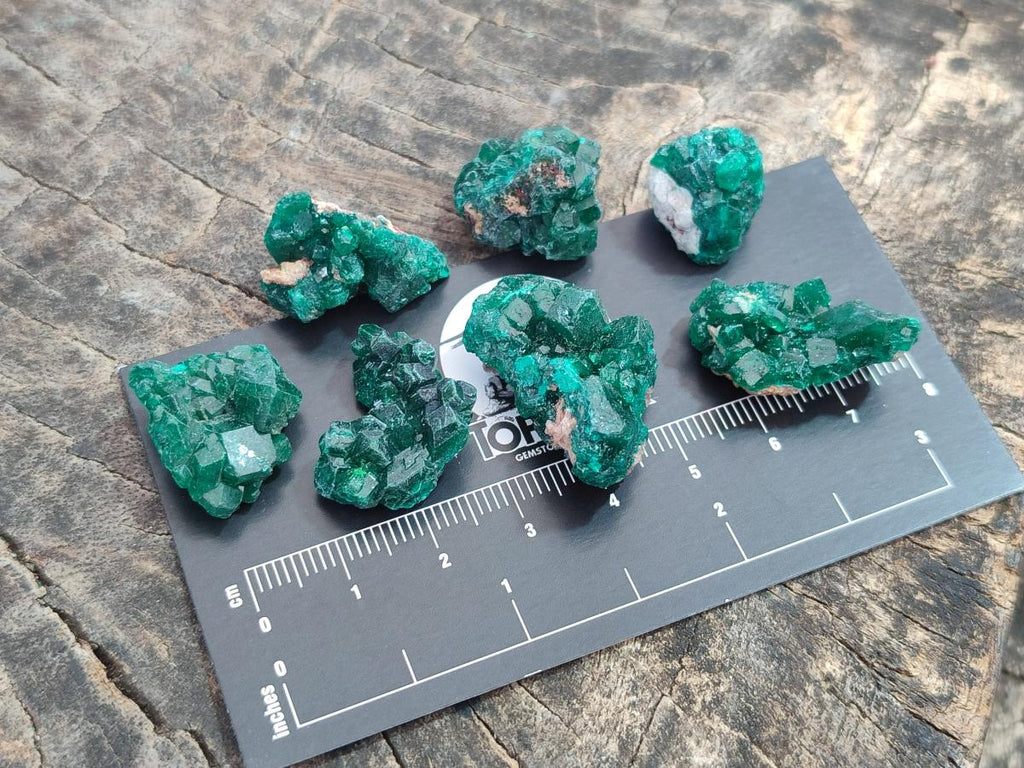 Natural Mini Dioptase Crystal and Cluster Specimens on Dolomite Matrix x 35 From Tantara Mine, Congo