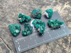 Natural Mini Dioptase Crystal and Cluster Specimens on Dolomite Matrix x 35 From Tantara Mine, Congo