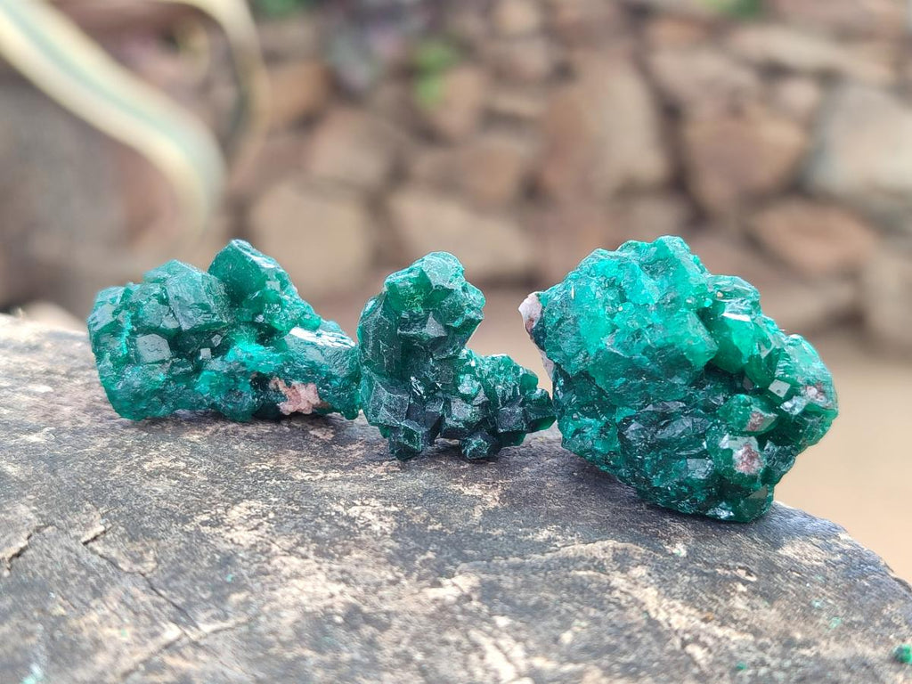 Natural Mini Dioptase Crystal and Cluster Specimens on Dolomite Matrix x 35 From Tantara Mine, Congo