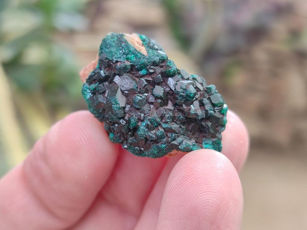 Natural Mini Dioptase Crystal and Cluster Specimens on Dolomite Matrix x 35 From Tantara Mine, Congo