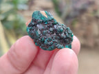 Natural Mini Dioptase Crystal and Cluster Specimens on Dolomite Matrix x 35 From Tantara Mine, Congo