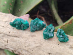 Natural Mini Dioptase Crystal and Cluster Specimens on Dolomite Matrix x 35 From Tantara Mine, Congo