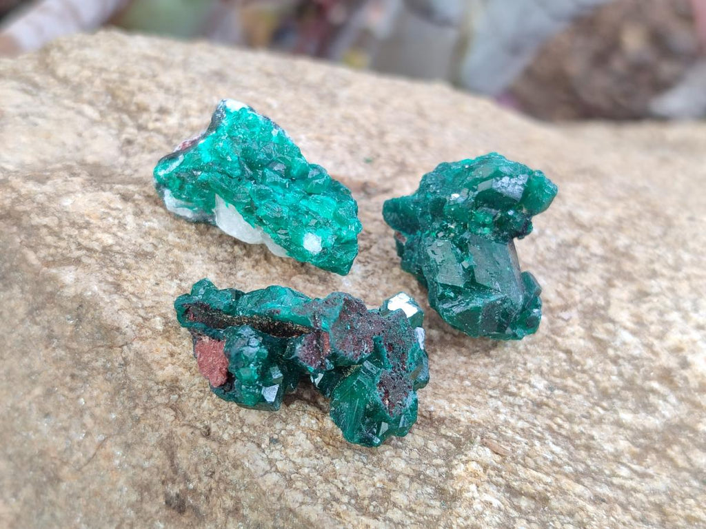 Natural Mini Dioptase Crystal and Cluster Specimens on Dolomite Matrix x 35 From Tantara Mine, Congo