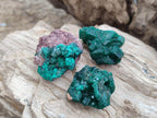 Natural Mini Dioptase Crystal and Cluster Specimens on Dolomite Matrix x 35 From Tantara Mine, Congo