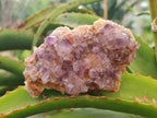 Natural Drusy Spirit Amethyst Crystals and Clusters x 35 From Boekenhouthoek, South Africa