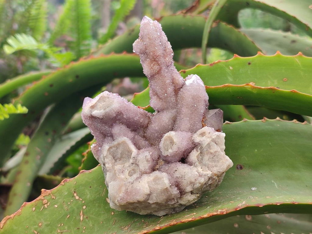 Natural Drusy Spirit Amethyst Crystals and Clusters x 35 From Boekenhouthoek, South Africa
