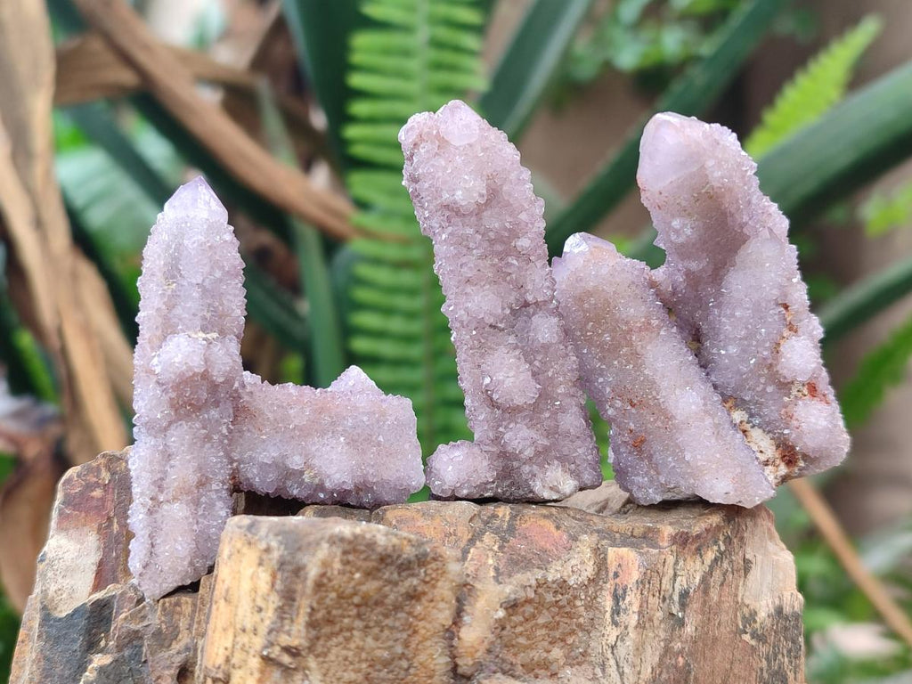 Natural Drusy Spirit Amethyst Crystals and Clusters x 35 From Boekenhouthoek, South Africa