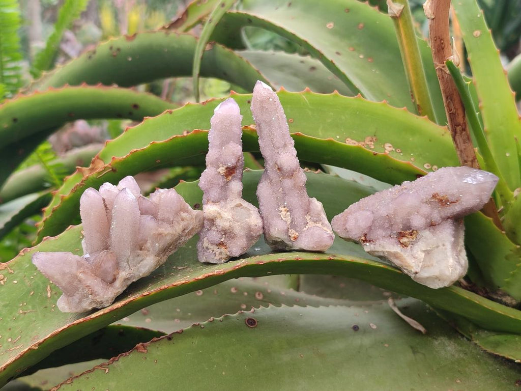 Natural Drusy Spirit Amethyst Crystals and Clusters x 35 From Boekenhouthoek, South Africa
