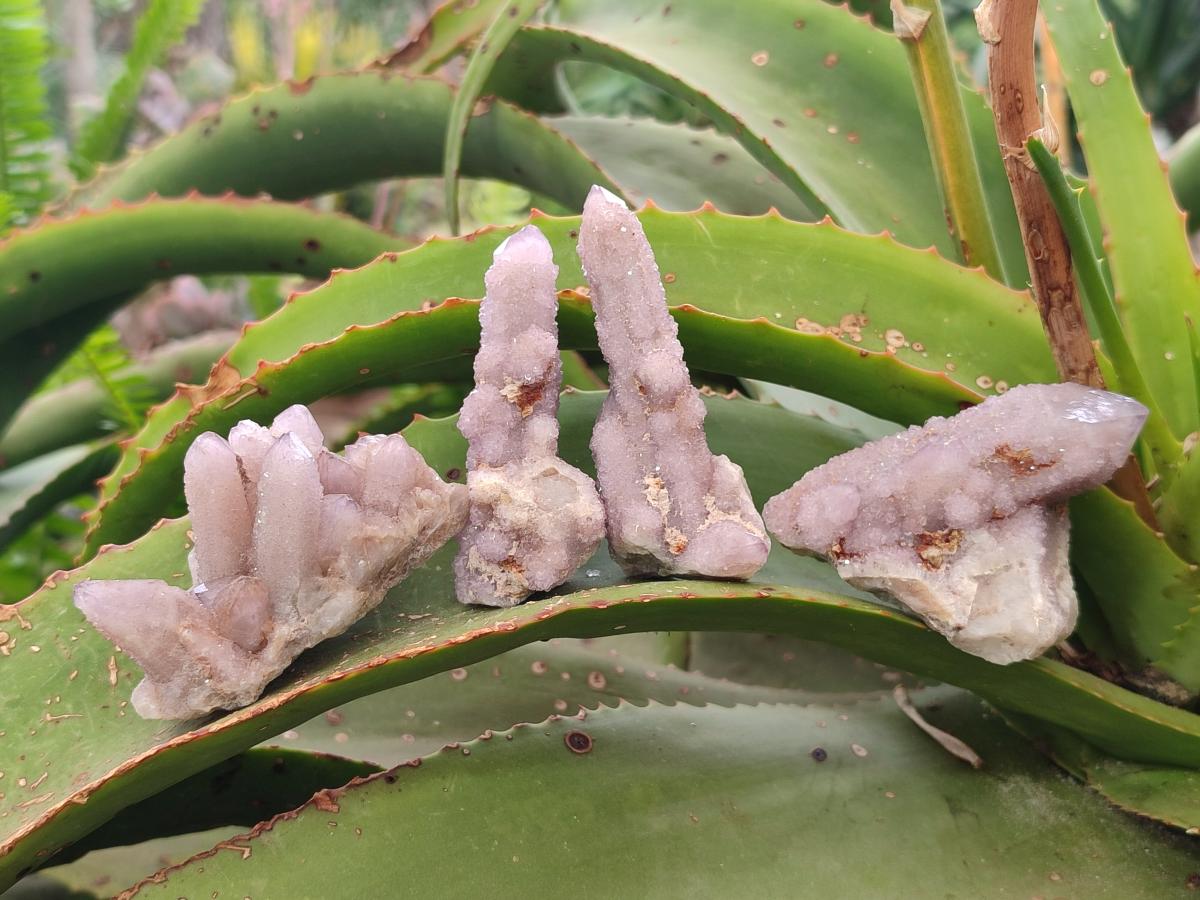 Natural Drusy Spirit Amethyst Crystals and Clusters x 35 From Boekenhouthoek, South Africa