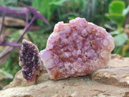 Natural Drusy Spirit Amethyst Crystals and Clusters x 35 From Boekenhouthoek, South Africa