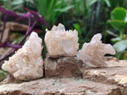 Natural Malagasy Quartz Crystals and Clusters x 35 From Madagascar