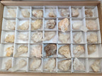 Natural Malagasy Quartz Crystals and Clusters x 35 From Madagascar