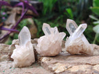 Natural Malagasy Quartz Crystals and Clusters x 35 From Madagascar