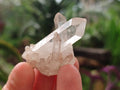 Natural Malagasy Quartz Crystals and Clusters x 35 From Madagascar