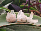 Natural Malagasy Quartz Crystals and Clusters x 35 From Madagascar