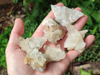 Natural Malagasy Quartz Crystals and Clusters x 35 From Madagascar