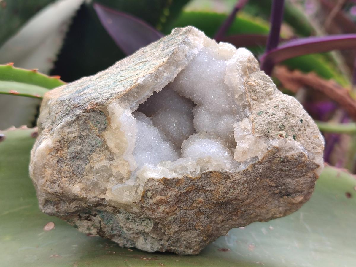 Natural Blue Lace Agate Geode Specimens x 6 From Nsanje, Malawi