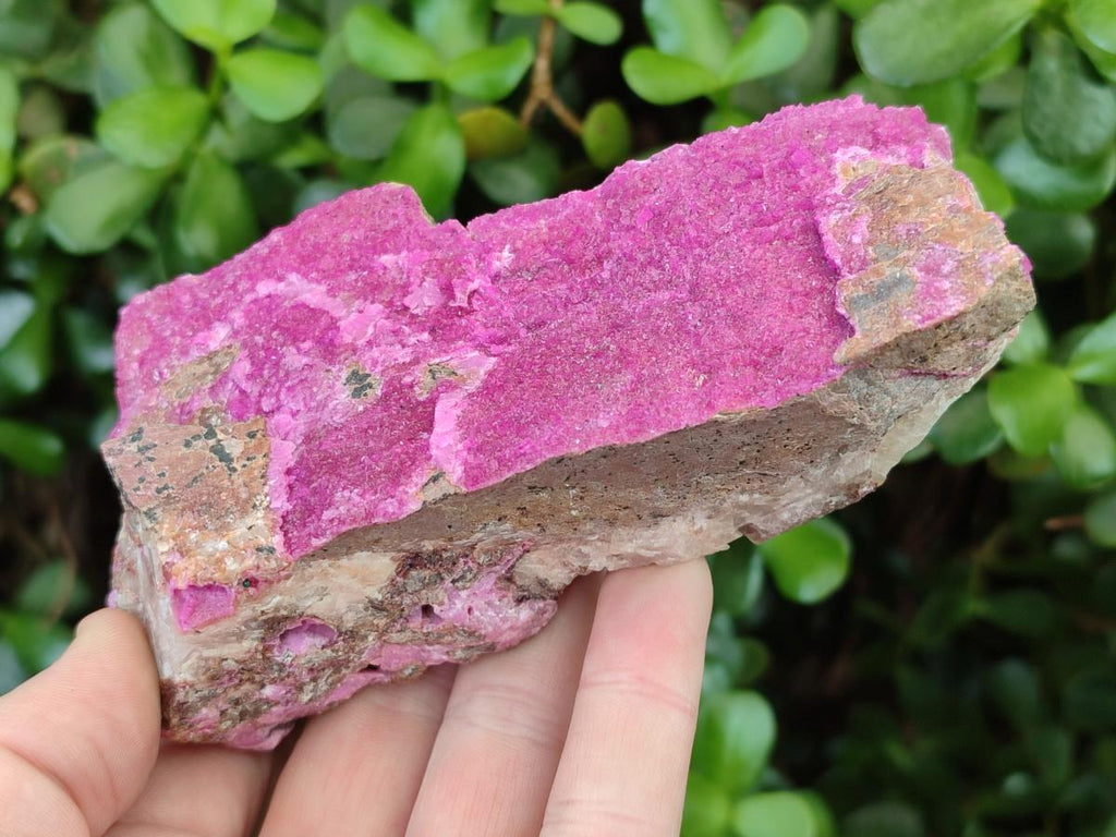 Natural Large Cabinet Size Salrose Cobaltoan Dolomite Specimens x 2 From Kakanda, Congo