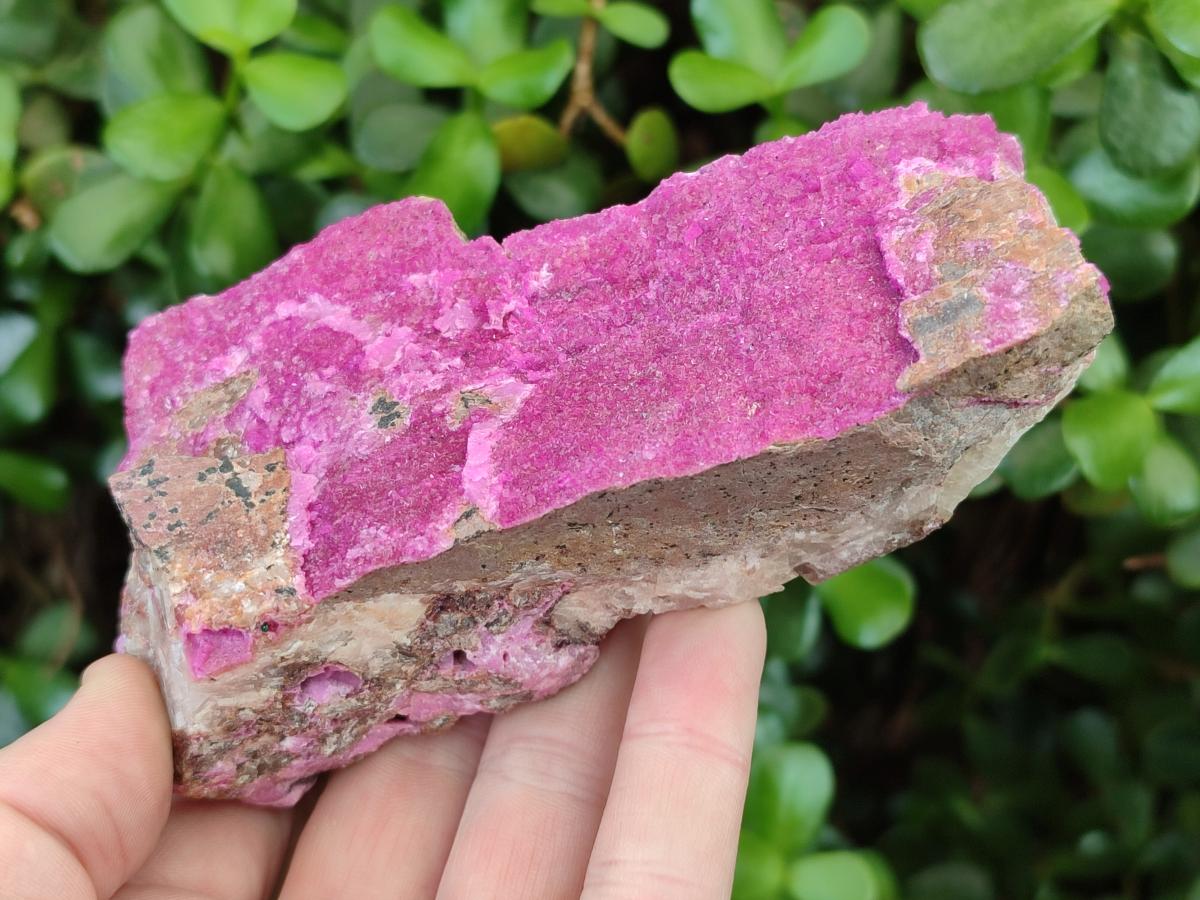 Natural Large Cabinet Size Salrose Cobaltoan Dolomite Specimens x 2 From Kakanda, Congo