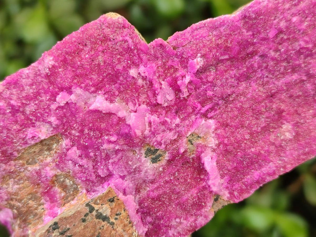 Natural Large Cabinet Size Salrose Cobaltoan Dolomite Specimens x 2 From Kakanda, Congo