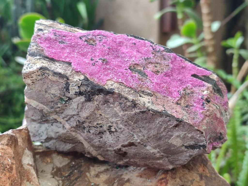 Natural Large Cabinet Size Salrose Cobaltoan Dolomite Specimens x 2 From Kakanda, Congo