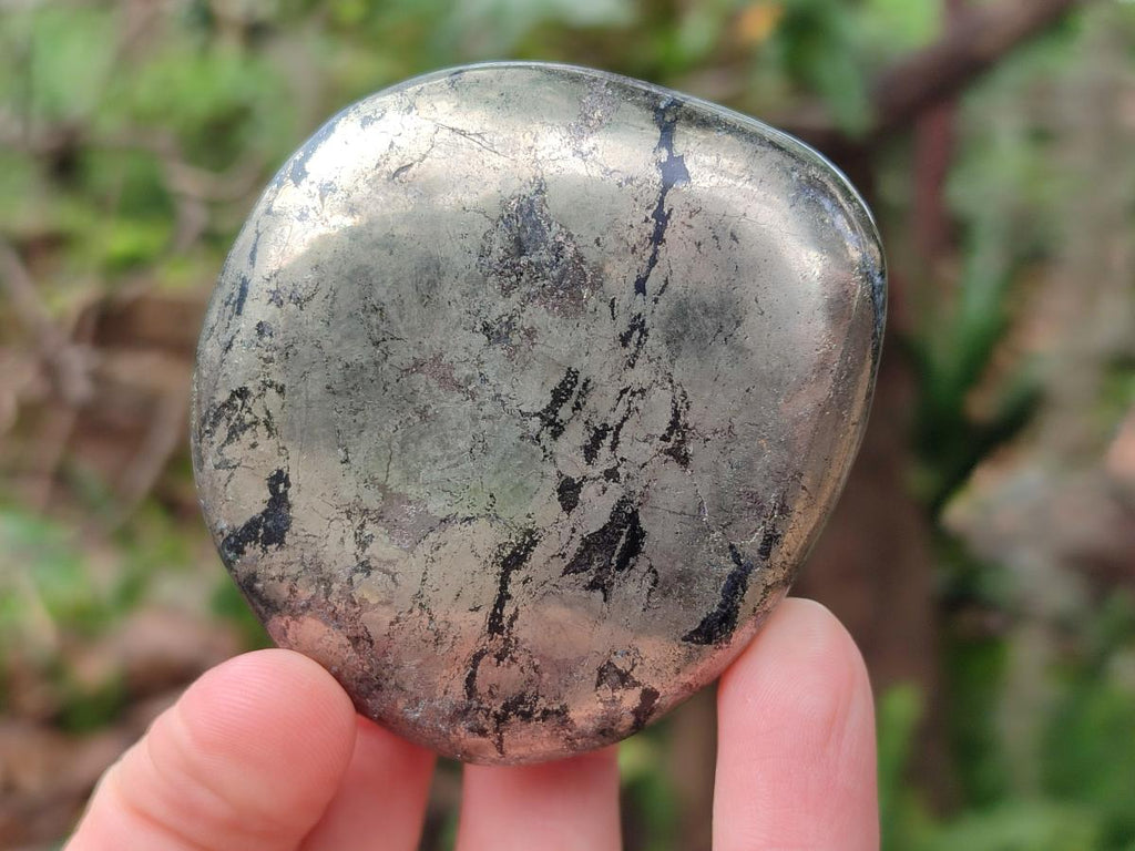 Polished Basalt Pharaoh Stone Free Forms x 5 From Iron Duke Mine, Zimbabwe