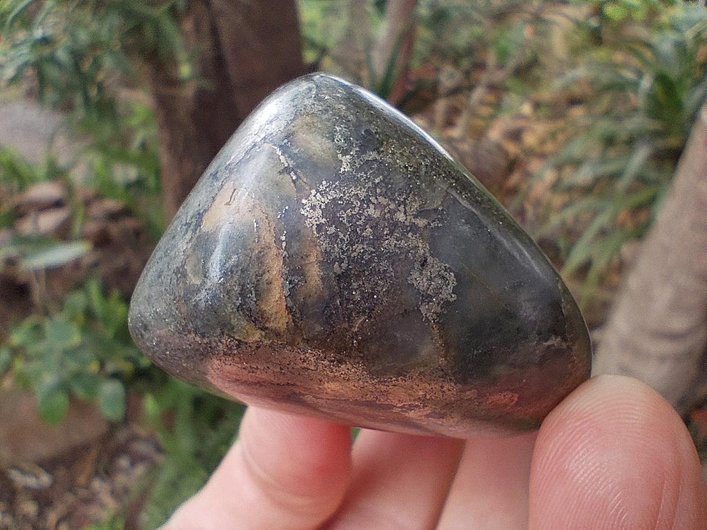 Polished Basalt Pharaoh Stone Free Forms x 5 From Iron Duke Mine, Zimbabwe