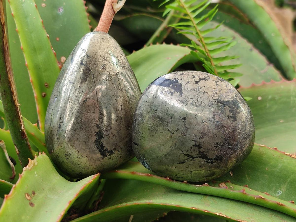 Polished Basalt Pharaoh Stone Free Forms x 5 From Iron Duke Mine, Zimbabwe