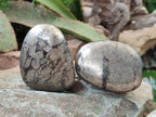 Polished Basalt Pharaoh Stone Free Forms x 5 From Iron Duke Mine, Zimbabwe