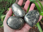 Polished Basalt Pharaoh Stone Free Forms x 5 From Iron Duke Mine, Zimbabwe