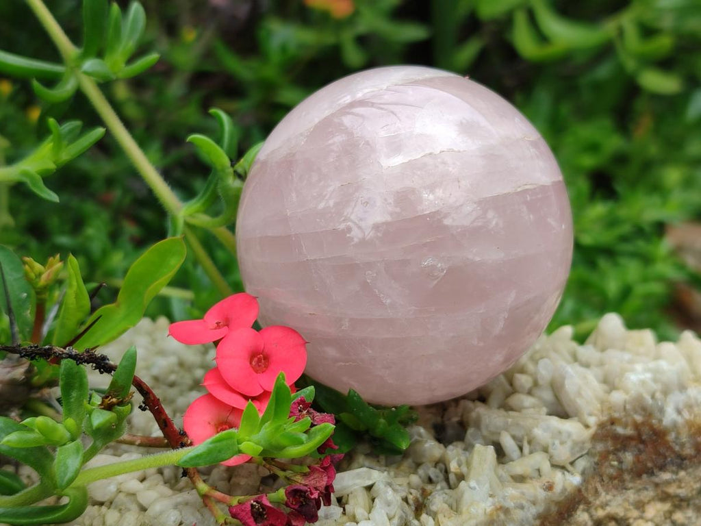 Polished Gemmy Rose Quartz Spheres x 3 From Madagascar