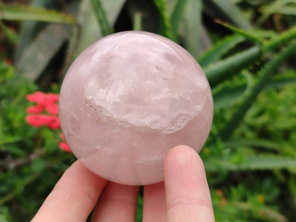 Polished Gemmy Rose Quartz Spheres x 3 From Madagascar